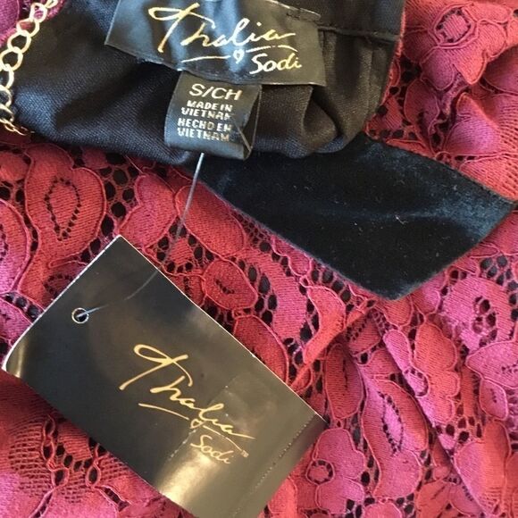 NWT Thalia Sodi Chain Neck Lace Dress Sz Small - Picture 7 of 11